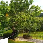 A Casina De Mera * Ortigueira